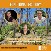 FE Special Feature: Fire as a dynamic ecological and evolutionary force