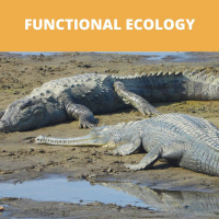 Using functional traits to identify conservation priorities for the worlds crocodylians