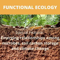 Emerging relationships among microbes, soil carbon storage and climate change
