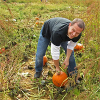 Talking Gardening with Amanda Thomsen (Kiss My Aster)