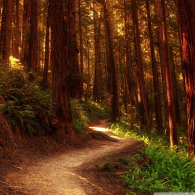 Prone To Wander Podcast