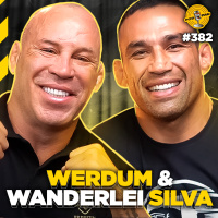 WERDUM amp WANDERLEI SILVA - Podpah #382