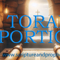 Torah Portion Week 11 - Vayigash - Joseph Reveals Himself to His Brothers (2021-2022)