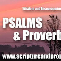 Psalm 32, Proverbs 30  Wisdom of Solomon 1: I will confess my transgressions unto the LORD