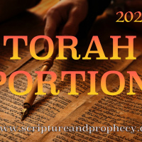Torah Portion – Ki Tavo: Deuteronomy 26–29:9 - Blessings for Obedience, Warnings For Disobedience