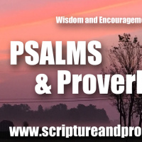 Wisdom From Psalm 144  Proverbs 3: LORD, what is man, that thou takest knowledge of him!