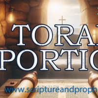 Torah Portion Week 7 - Vayetze - Jacob Marries Leah and Rachel (2024-2025)