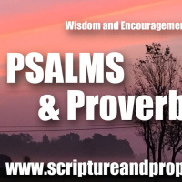 Wisdom From Psalm 25  Proverbs 26: Shew me thy ways, O LORD