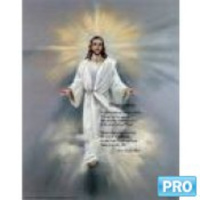 (TSO-50) Our Hebrew Roots: Finding The Way