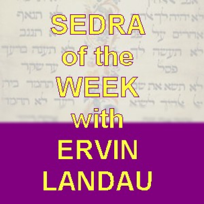 Sedra Of The Week With Ervin Landau