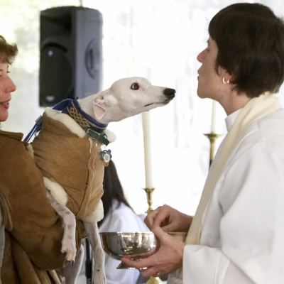 Penelope Bridges Podcast