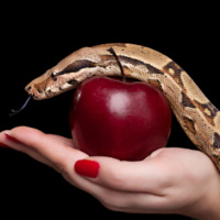 In the Beginning: Sin