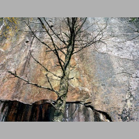 CoHearence - Episode One