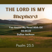 You Anoint MY Head With Oil: My Cup Overflows