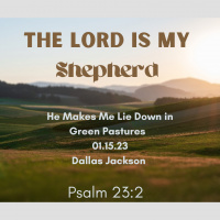 He Makes Me Lie Down in Green Pastures