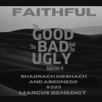 Faithful: The Good, The Bad, The Ugly – Shadrach, Meshack and Abednego