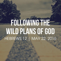 Following the Wild Plans of God