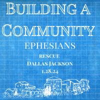Building a Community: Rescue