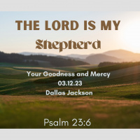 Your Goodness and Mercy