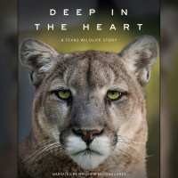 Ben Masters - Writer, Director and Founder of Fin  Fur Films