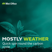 Mostly Weather: A quick spin round the carbon cycle