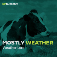 Mostly Weather: Weather lore - from lying cows to fishy birds