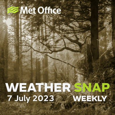 Mostly Weather