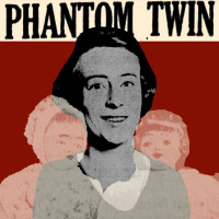 Murder Of The Phantom Twins