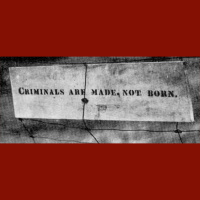 The Demented Dynamiter Of Bath