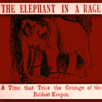 Gypsy The Serial Killer Elephant