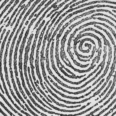 True Crime Historian