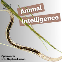 OpenWorm