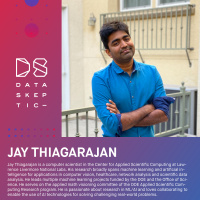 Interpretable AI in Healthcare