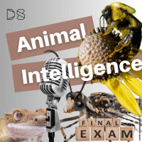 Animal Intelligence Final Exam