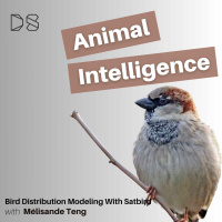Bird Distribution Modeling with Satbird