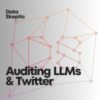 Auditing LLMs and Twitter
