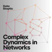 Complex Dynamic in Networks