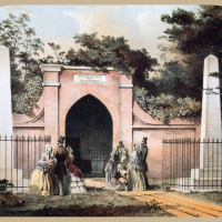 The Property of The Nation by Matthew Costello