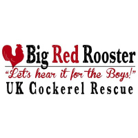 Christopher Reburn welcomes Helen Cooper from Big Red Rooster Rescue