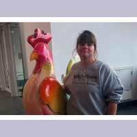 Christmas with the Chickens  Helen Cooper at Big Red Rooster Rescue