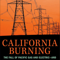 How a California Electricity Utility Caused Deadly Wildfires