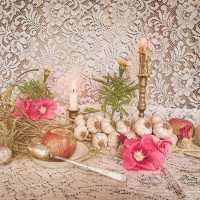 DORI MIDNIGHT on Spinning Webs of Support [ENCORE]