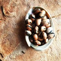 ROWEN M WHITE on Seed Rematriation and Fertile Resistance [ENCORE] /291