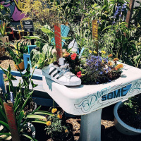 RON FINLEY on Cultivating the Garden of the Mind⌠ENCORE⌡ /79