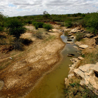 ANDREA BALLESTERO on a Future History of Water /247