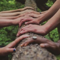 Homebound: Transforming Toxic Movement Culture with THE WILDFIRE PROJECT /180