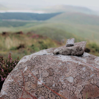 PÁDRAIG Ó TUAMA on Finding Uncommon Ground [ENCORE] /241