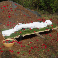 ELIZABETH FOURNIER on a Green Afterlife /90