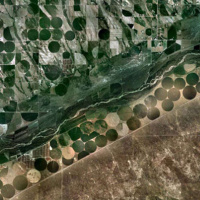 ELIZABETH KOLBERT on the Coming Age of Loneliness /28