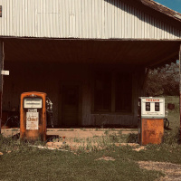 LEILA DARWISH on Grassroots Earth Repair /23